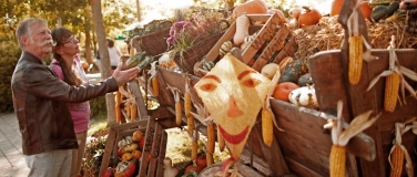 Event-Image for 'Altweibersommer'
