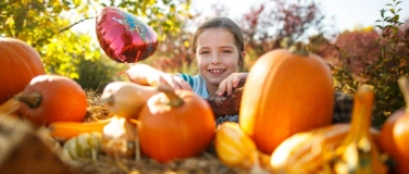 Event-Image for 'Kürbisplünderung'