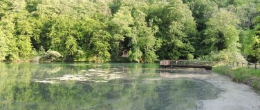 Event-Image for 'F&uuml;hrungen durch die Ermitage'