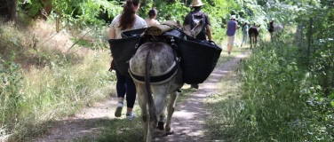 Event-Image for 'Eselwanderung in den Glauer Bergen'