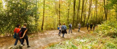 Event-Image for 'Singlewanderung: Freiburg - Rötenbachschlucht (25-40 J.)'