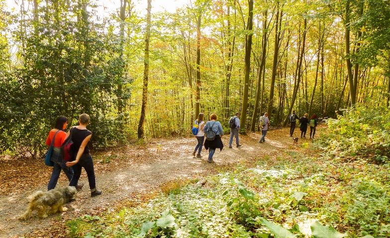 Singlewanderung: Freiburg - Rötenbachschlucht (25-40 J.) Wanderparkplatz Rötenbach, Sportplatzweg, 79877 Friedenweiler – Rötenbach, Sportplatzweg, 79877 Friedenweiler Tickets