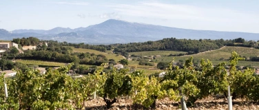 Event-Image for 'Degustation Frankreich'