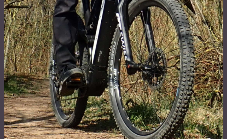 Event-Image for 'Stadtwaldtour mit dem E-Mountainbike &ndash; Natur pur erleben!'