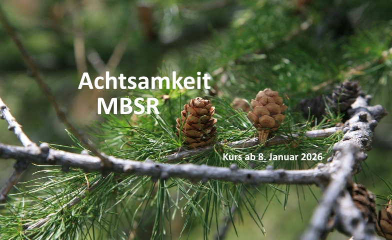 MBSR 8-Wochenkurs in Luzern Gesundheitsatelier, Rosslimatte 47, 6005 Luzern Tickets