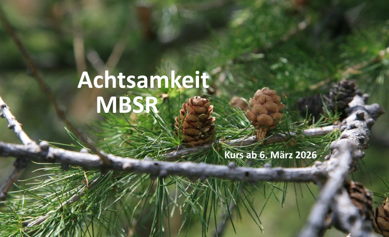 MBSR 8-Wochenkurs in Luzern - Abend Gesundheitsatelier, Rosslimatte 47, 6005 Luzern Tickets