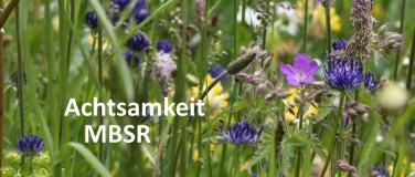 Event-Image for 'MBSR 8-Wochenkurs in Luzern - Morgen'