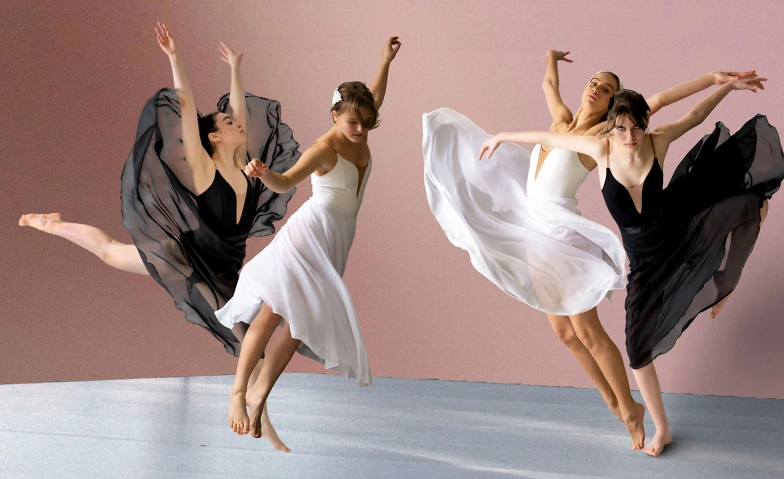 Event-Image for 'Schwanensee - Schwanengesang'