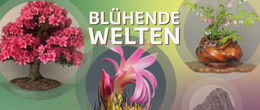 Event-Image for 'Ausstellung "Bl&uuml;hende Welten"'