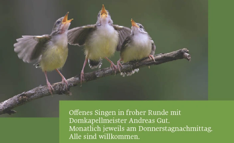 Offenes Singen in froher Runde Tickets