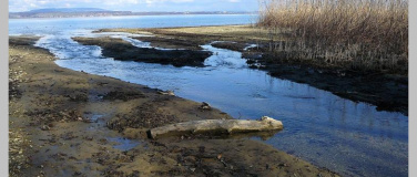 Event-Image for 'Exkursion am M&uuml;nsterlinger Seeufer'