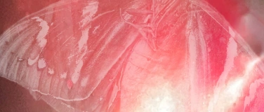 Event-Image for 'sonic somatics - the body as a resonant space'