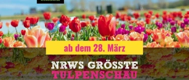 Event-Image for 'NRWs gr&ouml;&szlig;te Tulpenschau 2026 auf dem Krewelshof Eifel'