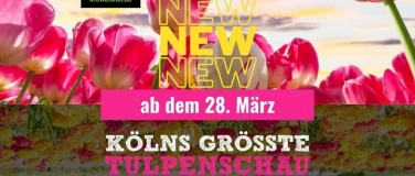 Event-Image for 'K&Ouml;LNs gr&ouml;&szlig;te Tulpenschau 2026 auf dem Krewelshof Lohmar'