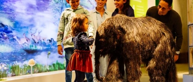 Event-Image for 'Freier Eintritt am Int. Museumstag'