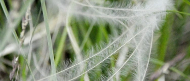 Event-Image for 'Infotreff Identit&auml;tspolitik in Winterthur'