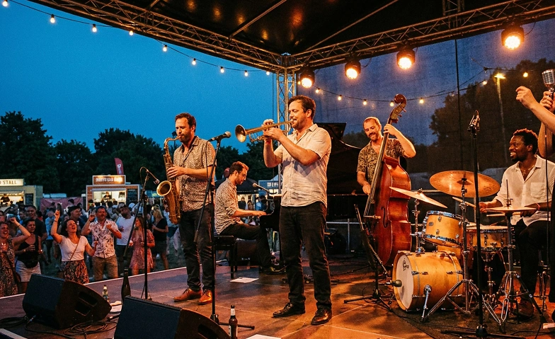 16&egrave;me BLUES RULES CRISSIER FESTIVAL Tickets