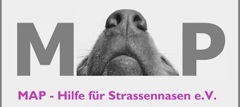 Veranstalter:in von MAP Sommerfest 2026