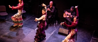 Event-Image for 'Flamenco-Abend'