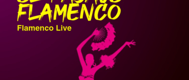 Event-Image for 'El Pasaje Flamenco - live'