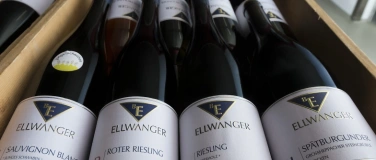 Event-Image for 'Esslinger Wein-Tasting im Salemer Pfleghof'