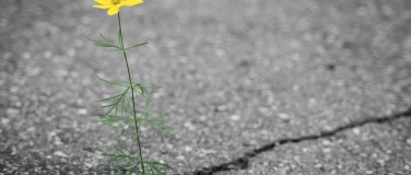 Event-Image for 'Raus aus Stress & Ersch&ouml;pfung - Vertiefung: Denken & F&uuml;hlen'