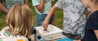 Event-Image for 'Flusskrebse &ndash; W&auml;chter unserer Gew&auml;sser'