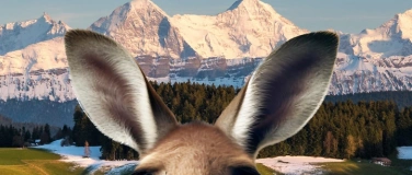 Event-Image for 'Ruedi Meyer mit dem St&uuml;ck &laquo;Die Lesung&raquo;'