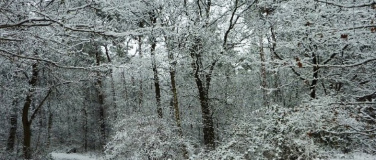 Event-Image for 'Winterausflug – Erlebnistipp für Singles jeden Alters'