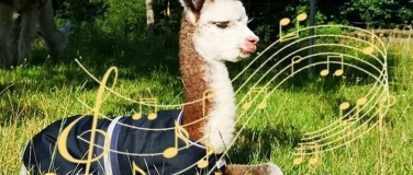 Event-Image for 'Alpakakonzert mit Harfe und Gitarre'