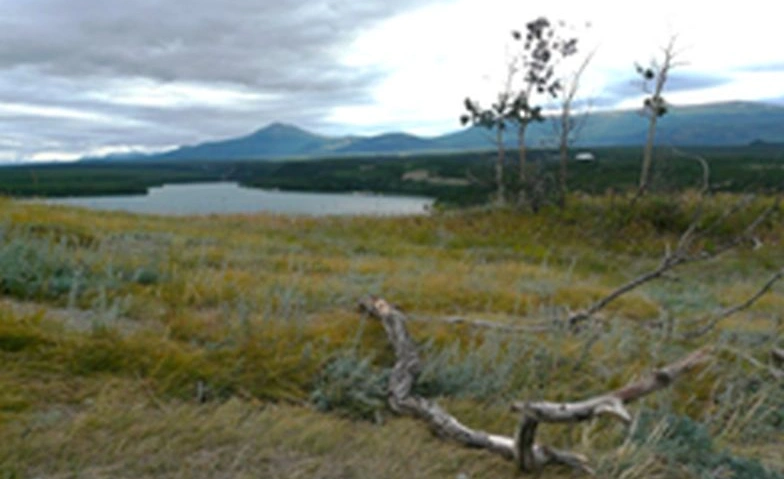 Forum Garage - Zukunftsfragen der Gesellschaft Billets