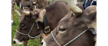 Event-Image for 'Forum Garage - Zukunftsfragen der Gesellschaft'