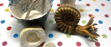 Event-Image for 'Fossilien giessen'