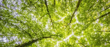 Event-Image for 'ACHTSAMKEITSKURS'