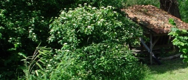 Event-Image for 'Permakultur Workshop: Von B&auml;umen und Menschen'