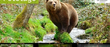 Event-Image for 'Fototage im April'