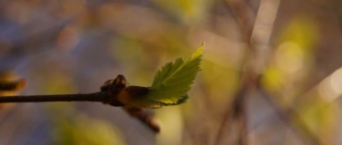 Event-Image for 'Photo Walk - Explore new perspectives'