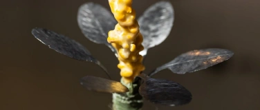 Event-Image for '(Tisch-)Gespr&auml;che  &uuml;ber Pflanzen, Kunst und Zugeh&ouml;rigkeiten'