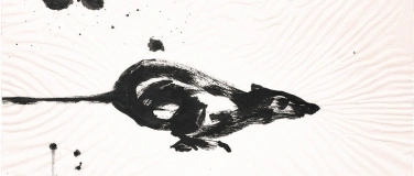 Event-Image for 'Ab durch die Mitte - Bilder von Frank Naumann'