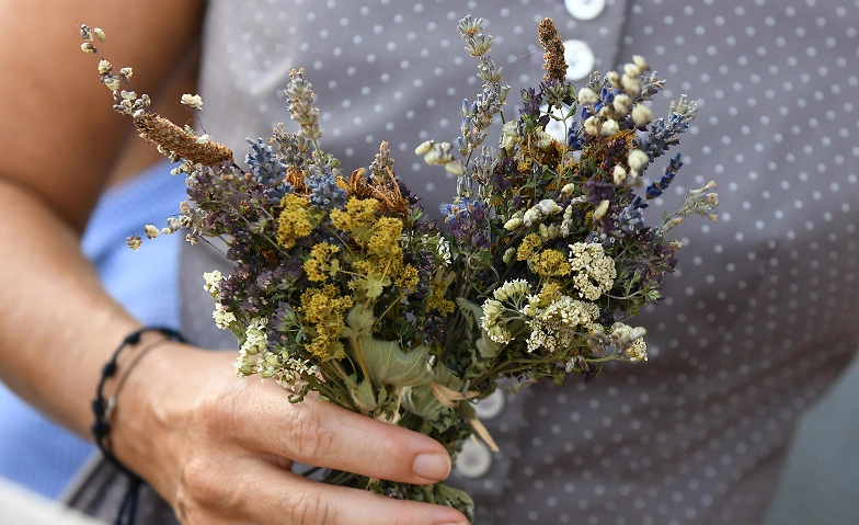 Auf zum Bauernhofmuseum Frohsinnshof Tickets