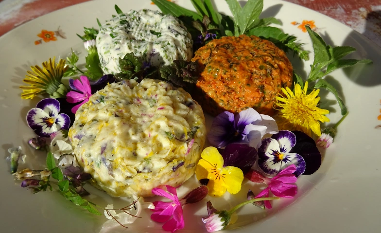 Event-Image for 'Kräuterrundgang: Pikante Kräuterlandschaft im Frühling'