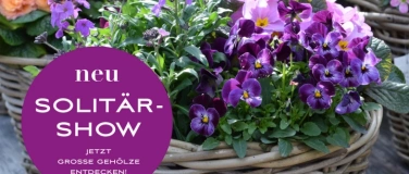Event-Image for 'Fr&uuml;hlingsauftakt Pott & Blume &ndash; jetzt neu mit Solit&auml;r-Show'