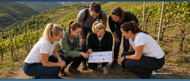Event-Image for 'Games-Wanderung in Altenahr'