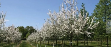 Event-Image for 'Baumschulsafari'