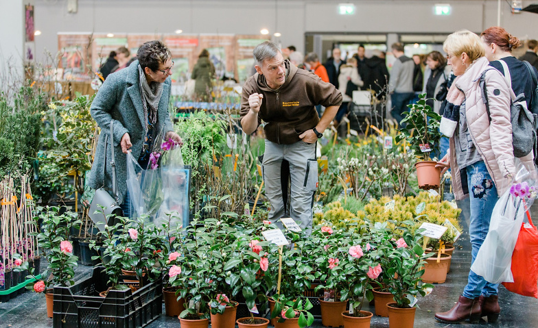 Event-Image for 'Gartenträume Gießen 14. bis 16. März 2025'