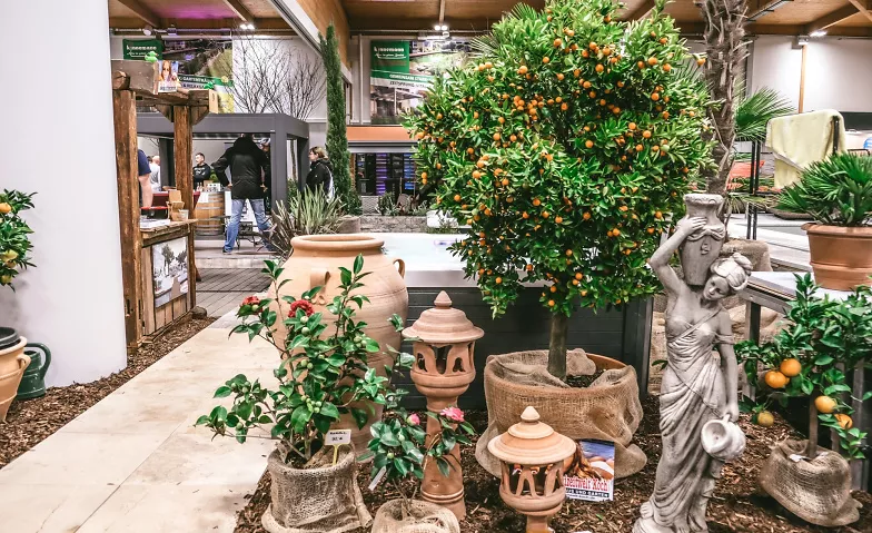 Gartenträume Magdeburg mit René Wadas 9. bis 11. Februar Fairs