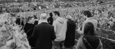 Event-Image for 'Rebenrausch &ndash; 5er Weinprobe in den Weinbergen'