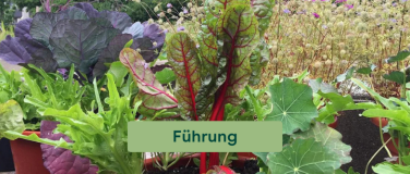 Event-Image for 'ProSpecieRara Kurs: Gem&uuml;sevielfalt auf dem Balkon'