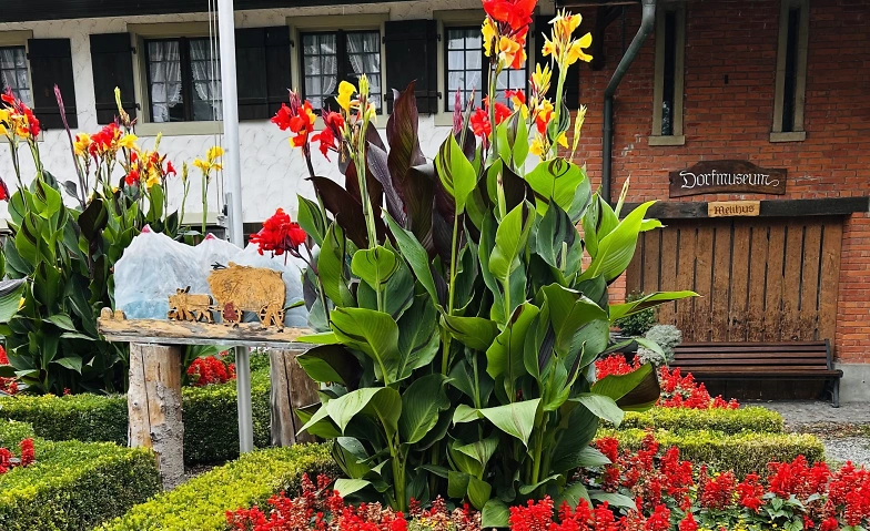 Kulturvielfalt - Genuss &amp; Kultur Tickets