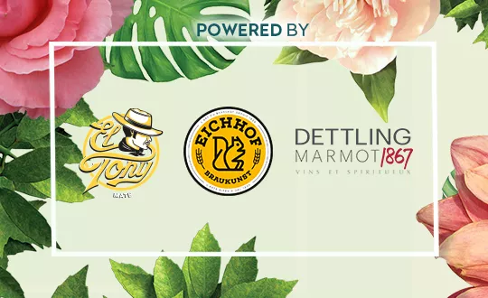 Sponsoring-Logo von Tanz dich Glücklich Event